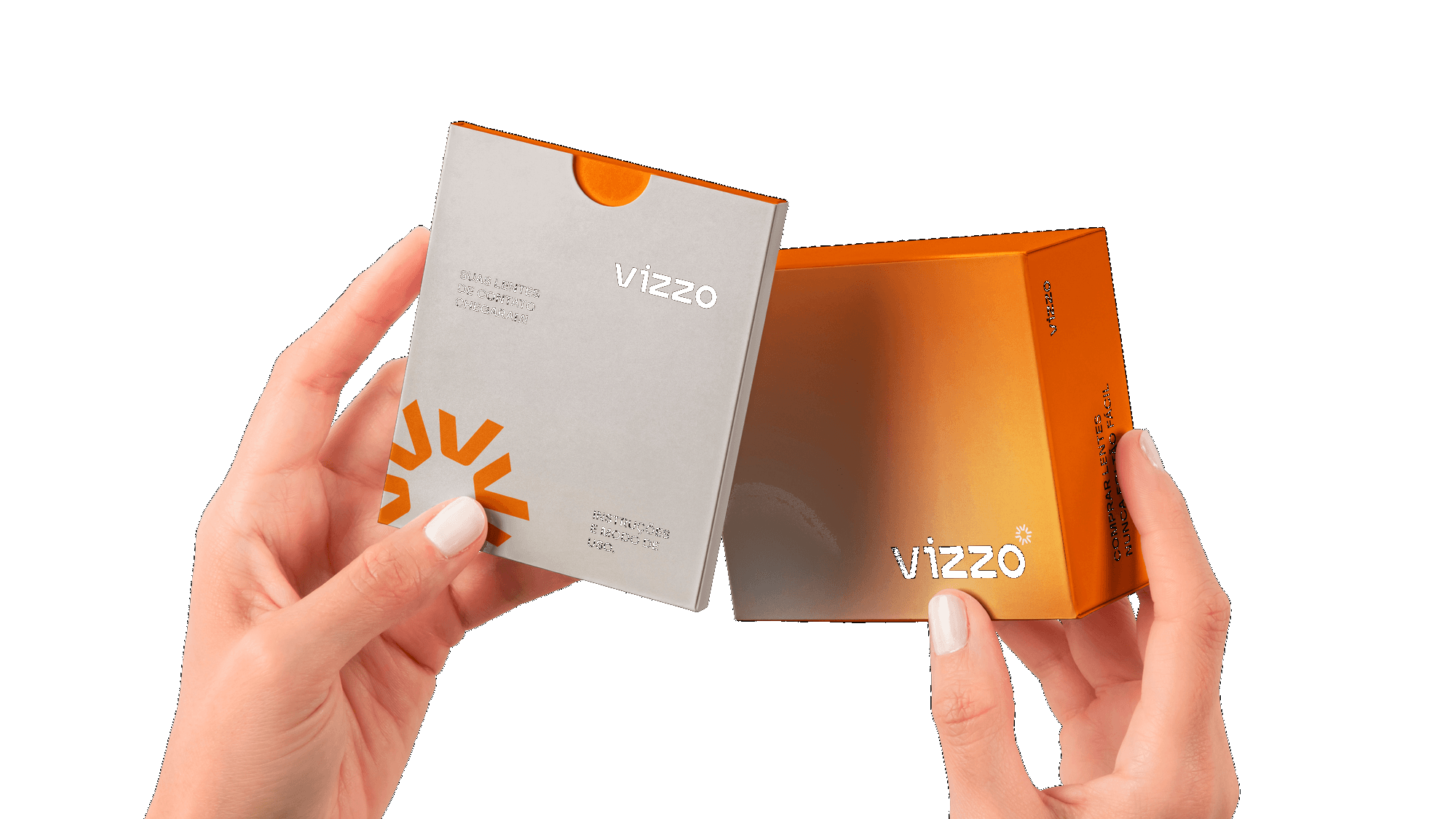 Caixa de assinatura Vizzo Club